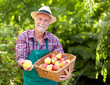 Photo: Gardener with straw hat presenting apple Gardener with straw hat presenting apple