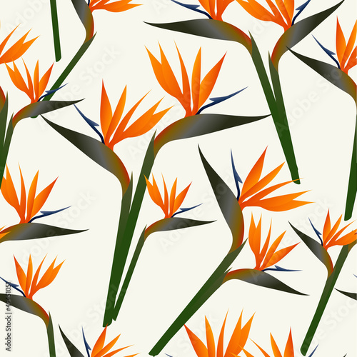 Vector: Paradise bird flower pattern Paradise bird flower pattern