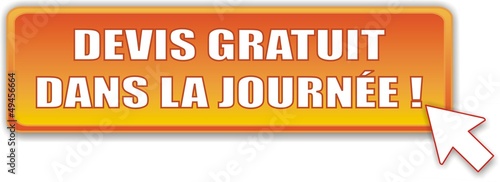 Vector: bouton devis gratuit dans la journée bouton devis gratuit dans la journée