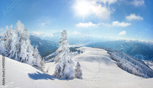 Photo: Snow covered tress winter landscape Snow covered tress winter landscape