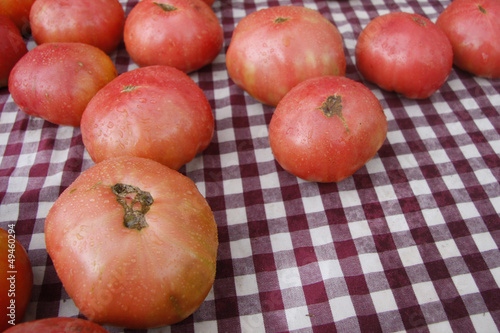 Photo: Fresh Tomatoes Fresh Tomatoes