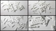 Set: Lancets are scattered on a surface