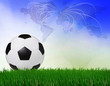 soccer football on green field with blue sky background