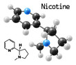 nicotine molecule