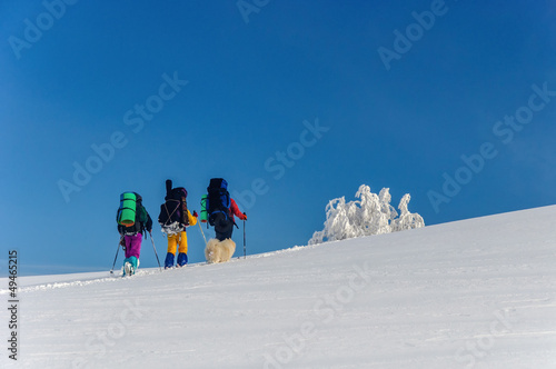 Photo: group of hikers with Sammy dog in winter mountains group of hikers with Sammy dog in winter mountains