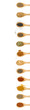 spices