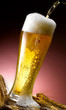 birra