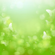 Frühlingshintergrund Schmetterlinge - Bokeh