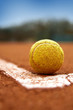 Foto: Tennis ball Tennis ball