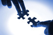 Puzzle pieces