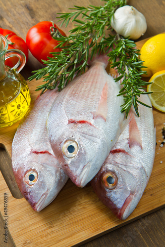 Photo: sea bream sea bream
