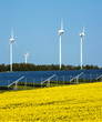 Windkrafträder und Solarmodule in einem Rapsfeld