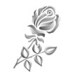 steinmetzrose1302a