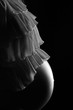 babybauch