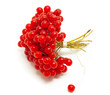 viburnum