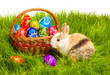 Photo: Easter egg and bunny in basket Easter egg and bunny in basket