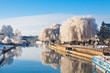 Winter Willow Tree At The Rive...