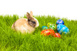 Photo: Easter egg and bunny on grass Easter egg and bunny on grass