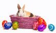 Photo: Easter egg and bunny in basket Easter egg and bunny in basket