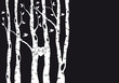 wedding invitation with birch trees, vector