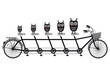 owls on tandem bicycle, vector