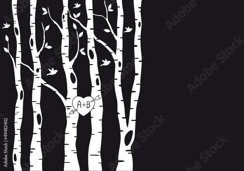 Vector: wedding invitation with birch trees, vector wedding invitation with birch trees, vector