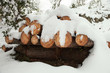 Snow log stack lumber in winter