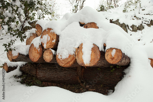 Photo: Snow log stack lumber in winter Snow log stack lumber in winter