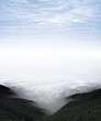 Foggy Landscape