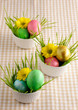 Colored easter eggs