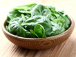 Young baby spinach