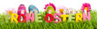 Frohe Ostern Text mit Wiese Banner