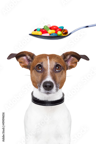 Photo: dog pills diet dog pills diet