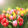 Photo: Hintergrund Frühlingsstrauß Hintergrund Frühlingsstrauß