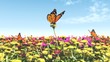 Spring
