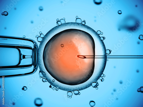 Illustration: artificial insemination artificial insemination