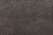 texture of elephant skin use for background