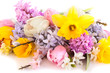 spring flowers