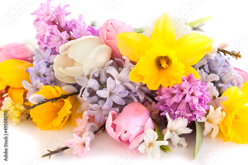 Photo: spring flowers spring flowers