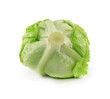 Photo: lettuce on white background lettuce on white background