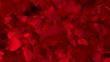 Hearts - bokeh - background