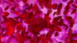 Herze - Bokeh - Frühling