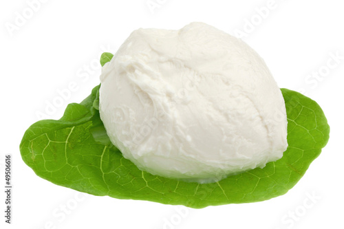Photo: Mozzarella Mozzarella