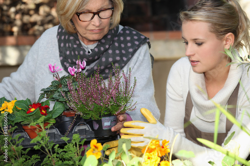 Photo: assistance to elderly people assistance to elderly people