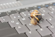 Photo: Datenstau - Schnecke auf einer Tastatur Datenstau - Schnecke auf einer Tastatur