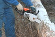 Tree cutting with chainsaw