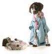 veterinary care
