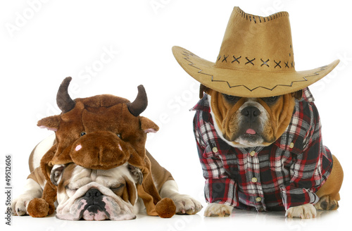 Photo: country dog country dog
