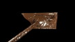 Making chocolate bars: Filling the frame, slow motion. Alpha