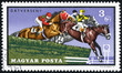 stamp printed by Hungary, shows Equestrian Sport